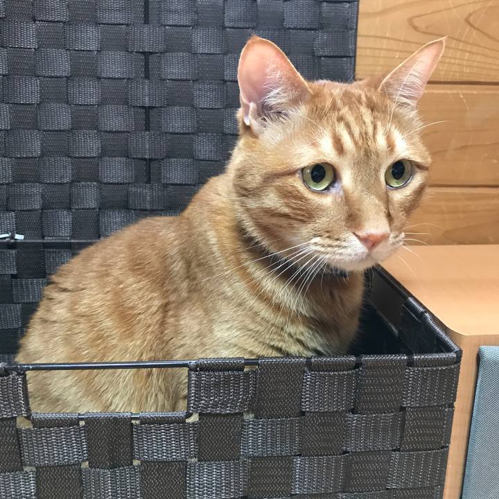 2b7be3ce 24ce 47fd b63a 08c41f5ae068