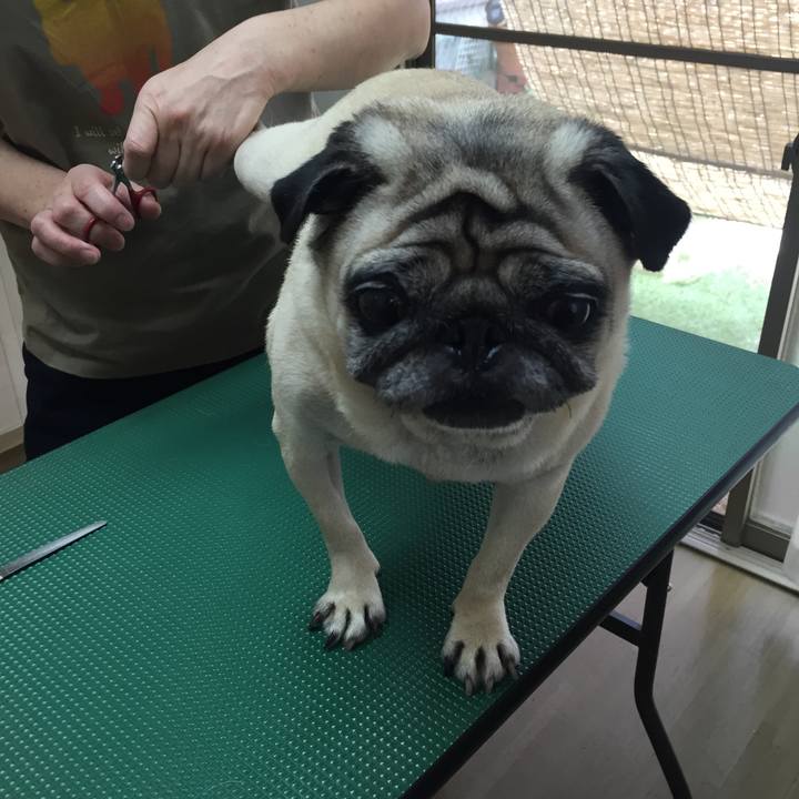 2b7c443e bb5b 4991 b068 db0b3929f544