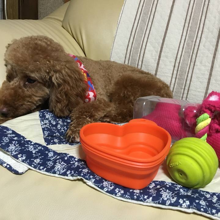 2b7c792a b470 446d bf59 fa77917d45aa