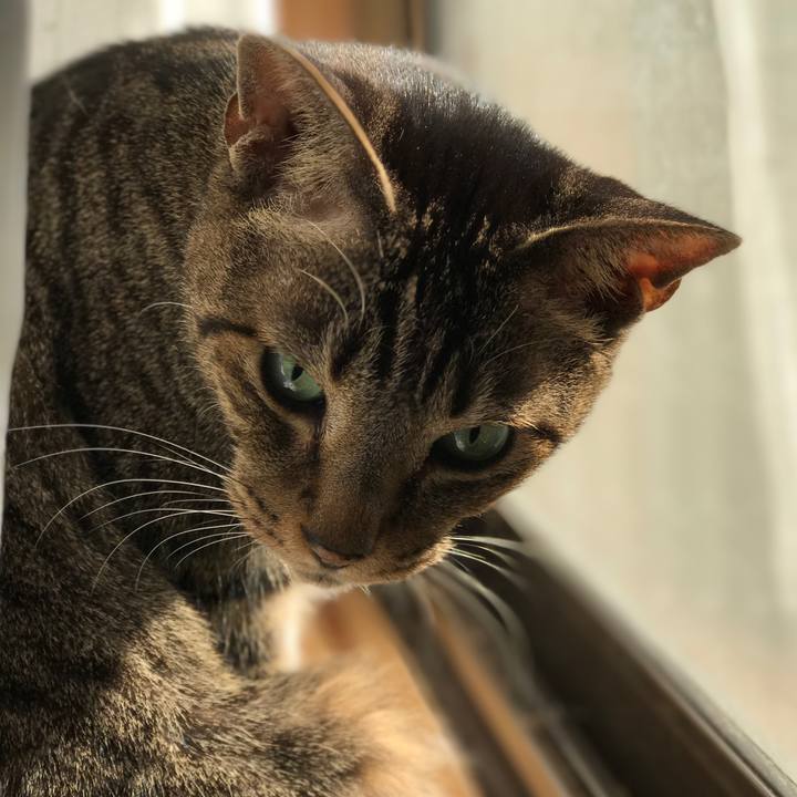 2b7cc555 907c 43c2 ac01 ff181b5b7ab5