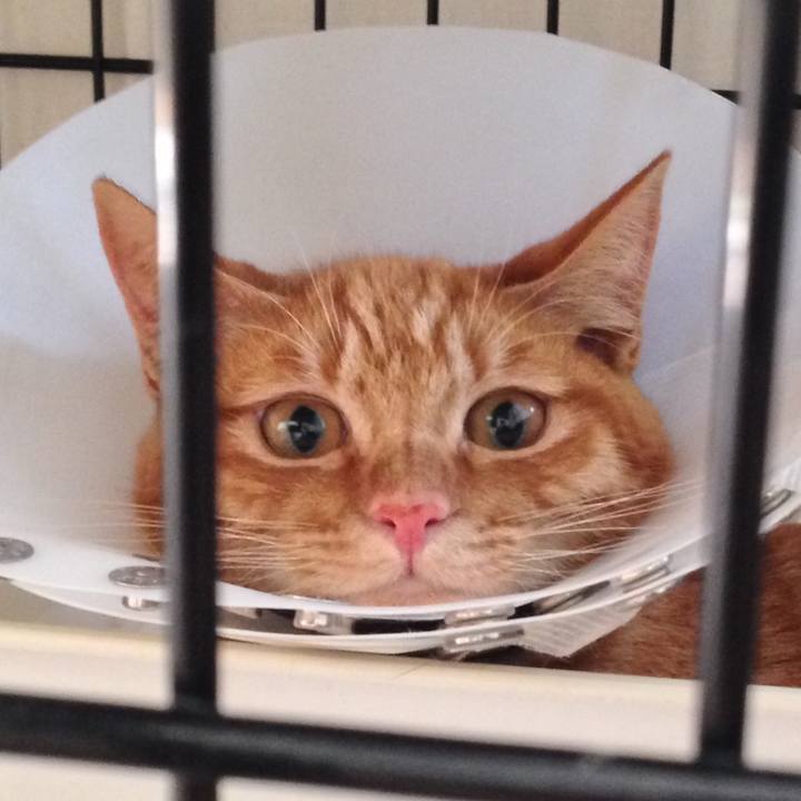 2b7cf563 8876 4bd8 968f 5259346ab5f9