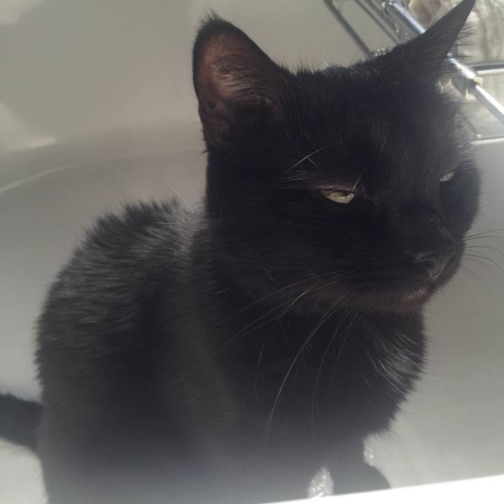 2b7e4a2c 2636 4844 a174 0ba9874aaa04