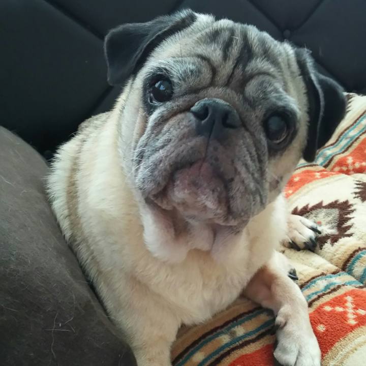 2b7ec563 63fb 4c38 8c68 b17af46b67c8