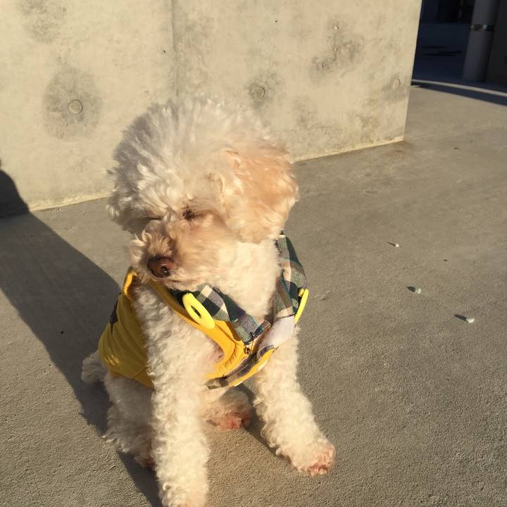 2b7f00a3 a883 48c2 a82d 9459d3d4dc8c