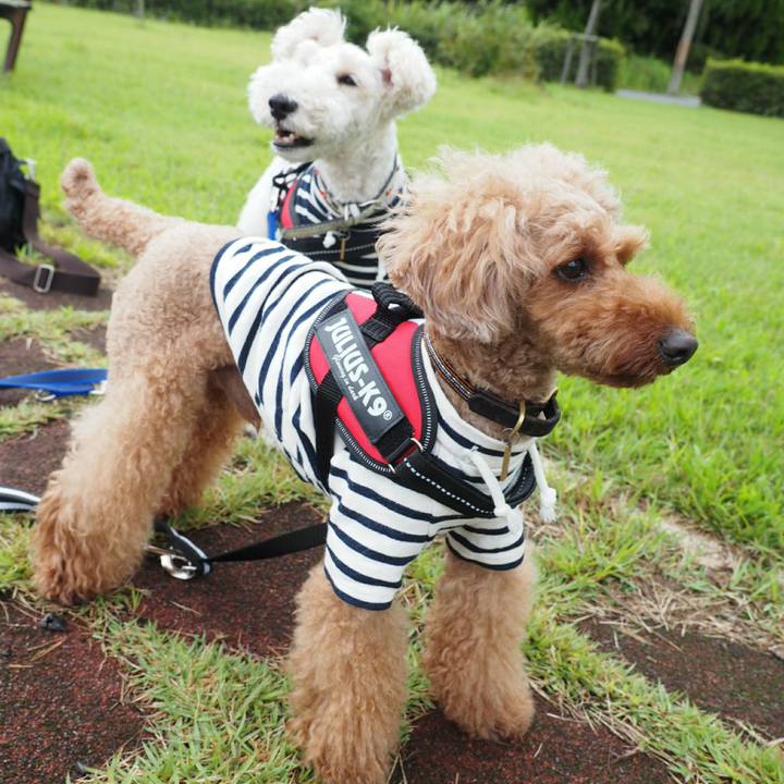 2b7f080b 16bf 485f a784 8c963973dc76