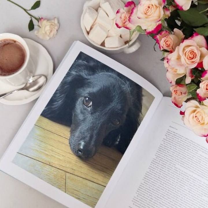 2b7f57ca 0c46 4c87 9520 c455202e915e