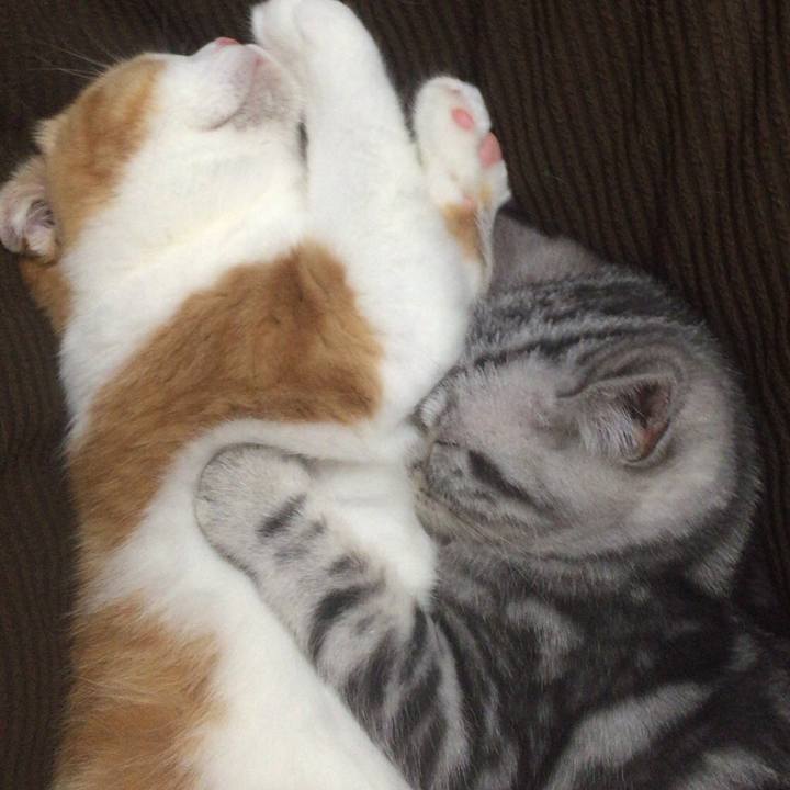 2b7f970b f744 453d a124 e329e5d8e00c