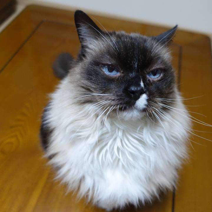 2b800a01 3e99 4669 9ad0 ead3fe337080