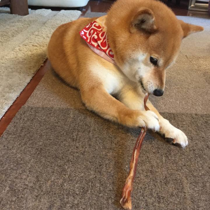 2b8032d6 3fb9 456d 9ced 8e37f2a7062f