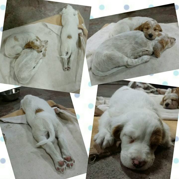 2b81b378 7c2e 4afd a40f 4b2616bdac62