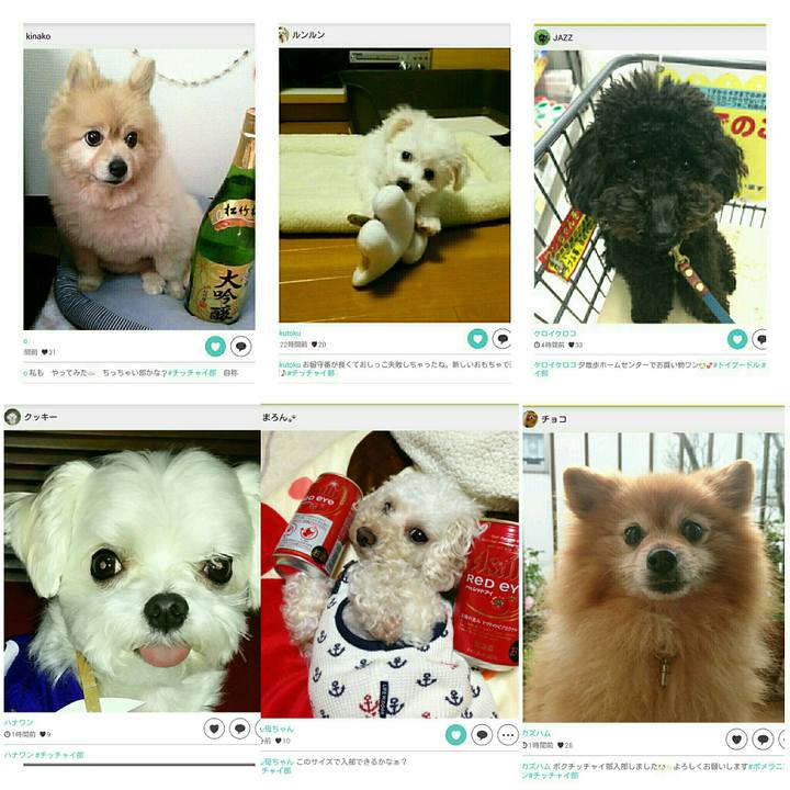 2b81d9e2 44b2 49cf b93b b9722e76b741