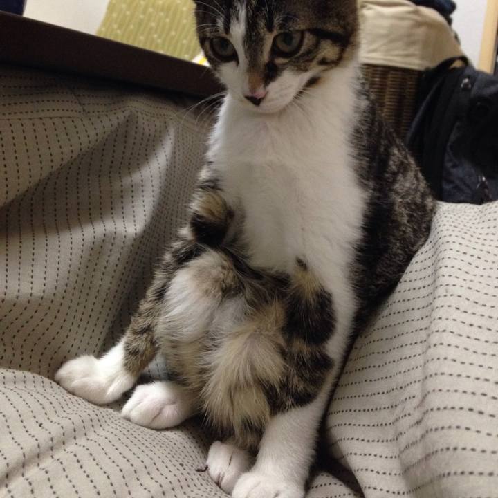 2b838179 3837 485e bfd6 5fbdf603aaaa