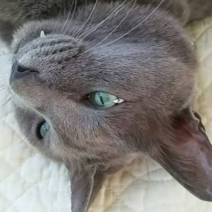 2b838763 7d00 48a4 b602 d93af6501b16