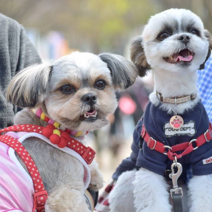 2b841a12 8eb5 400a a6c8 e781e29860d9