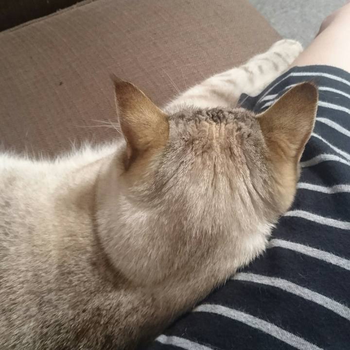 2b84a4d6 b8a8 48ad a8c5 aa760925be8f