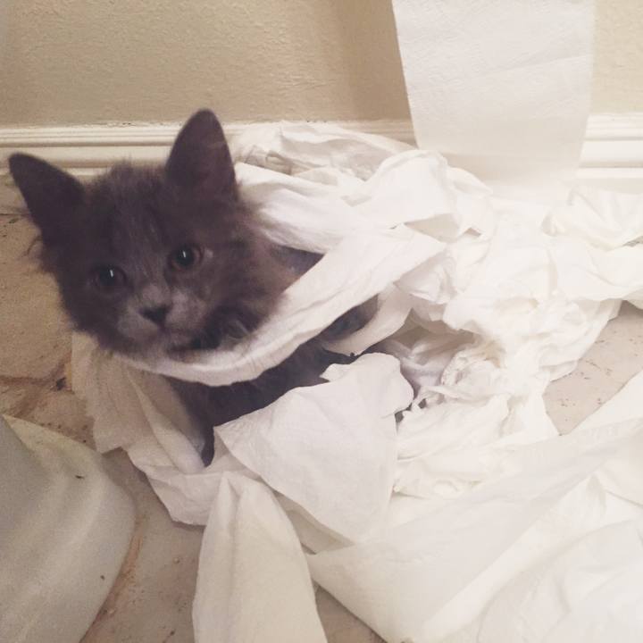 2b85b7e4 e2e8 4089 bbf4 3ef328a4a97b