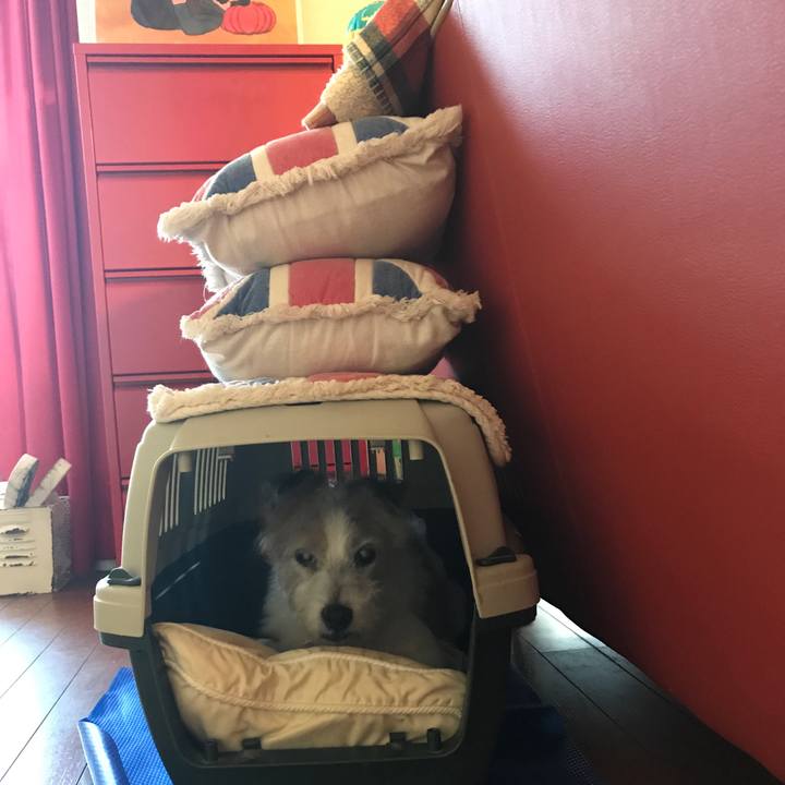 2b8667b7 f6f4 46ab 84ff ff91cb8c63f9