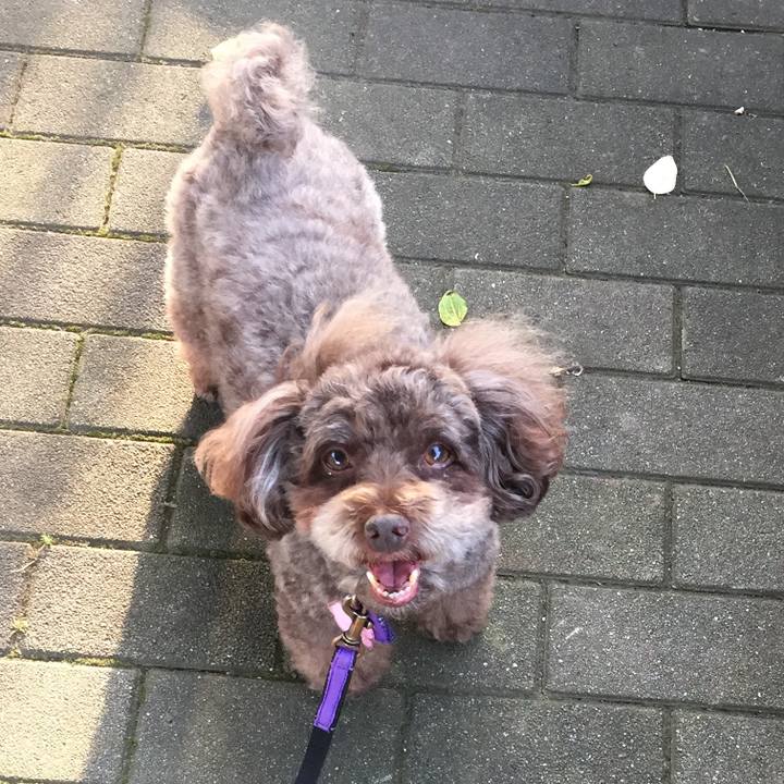 2b86d87a eefc 4191 89c8 84f67377101e