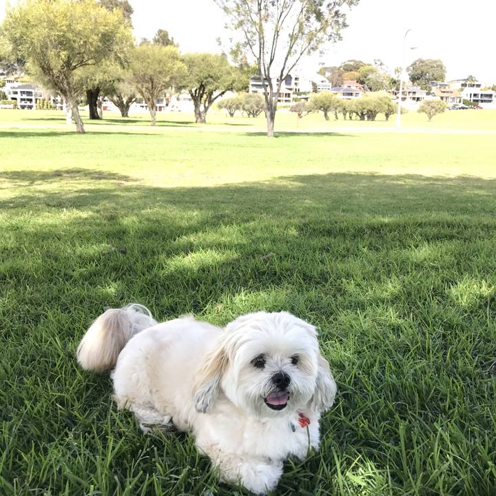 2b872caa b5a7 4ee5 9de9 968bc3fa72cb