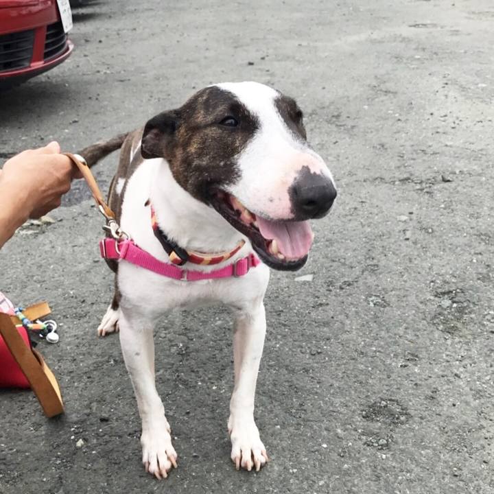 2b881c21 dad6 4e96 8e21 4924e85c6cbd