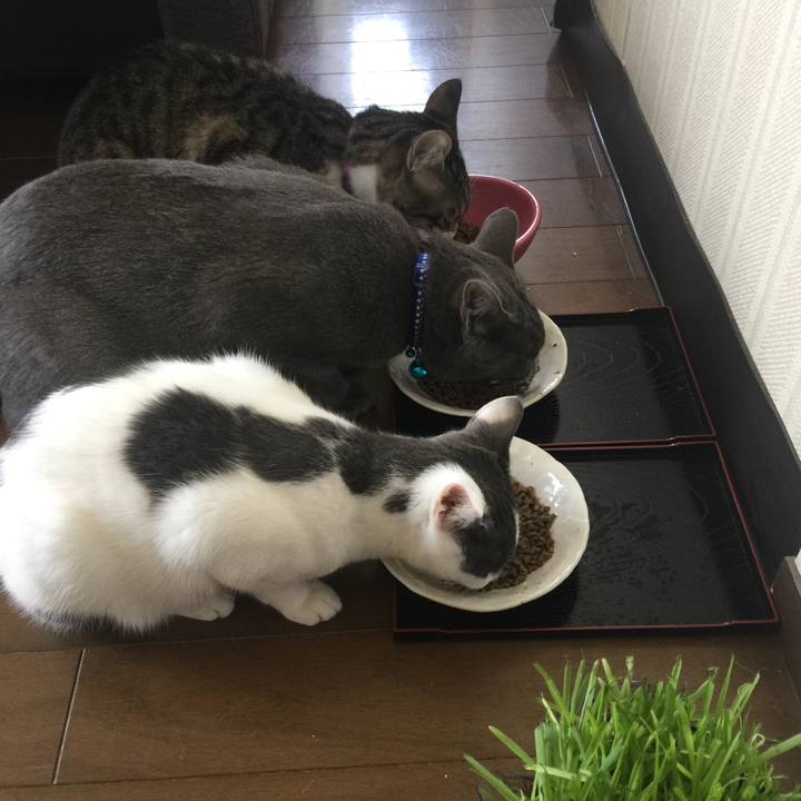 2b883f8e 72ef 4e9b 8f29 0fd115a07012