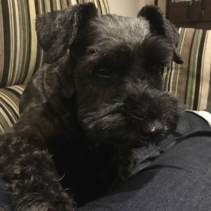 2b8899ba 8b26 4c7f 9ed3 f145c4cedc01