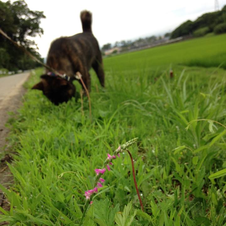 2b88f1e8 cd4d 49fc bf10 7c71369517ee