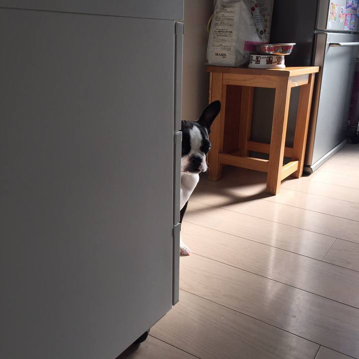 2b8b03d6 c02b 401a 82d9 961ec5d0c4ee