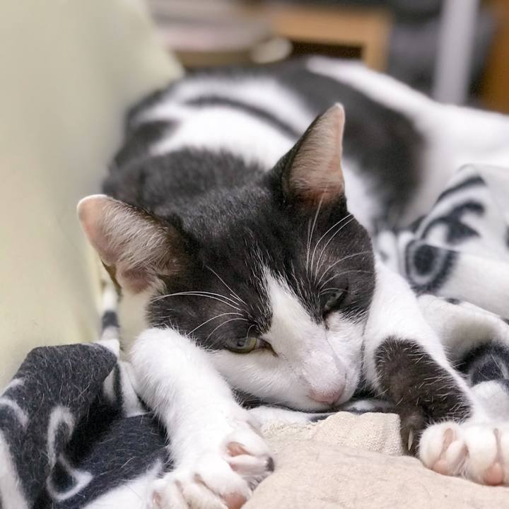 2b8b5729 fd6c 4521 a63c 96a9a72fa243