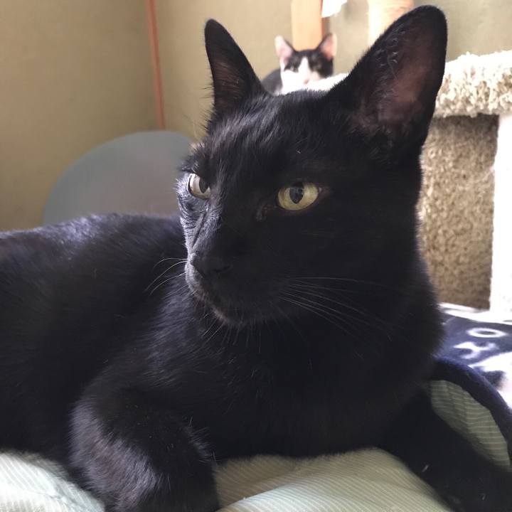 2b8b83ef 21b2 4328 b95f 7c5ff57f605d