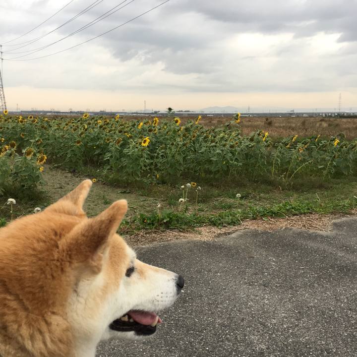 2b8c0bf7 c88f 42e5 933b bfe10594a77d