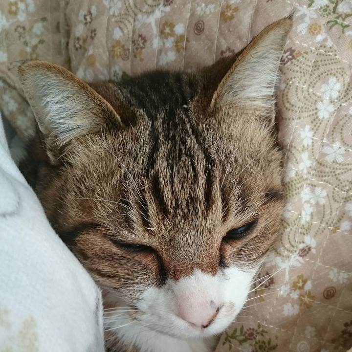 2b8dc1c3 bb54 4378 adae fba44c4f6d5c