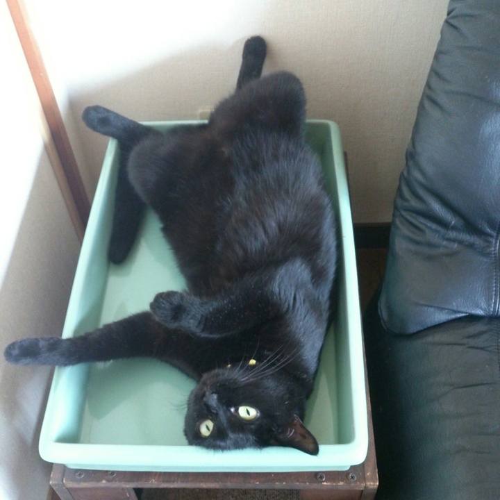 2b8e1d6d 6058 479f 9233 90e3e7225003