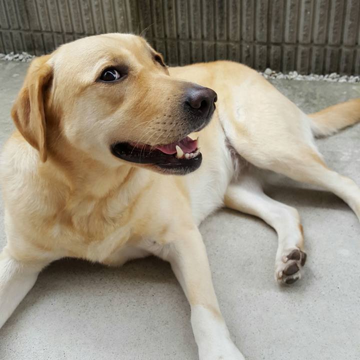 2b8e6ff2 05d1 4d65 94f7 9190bdf9cb33