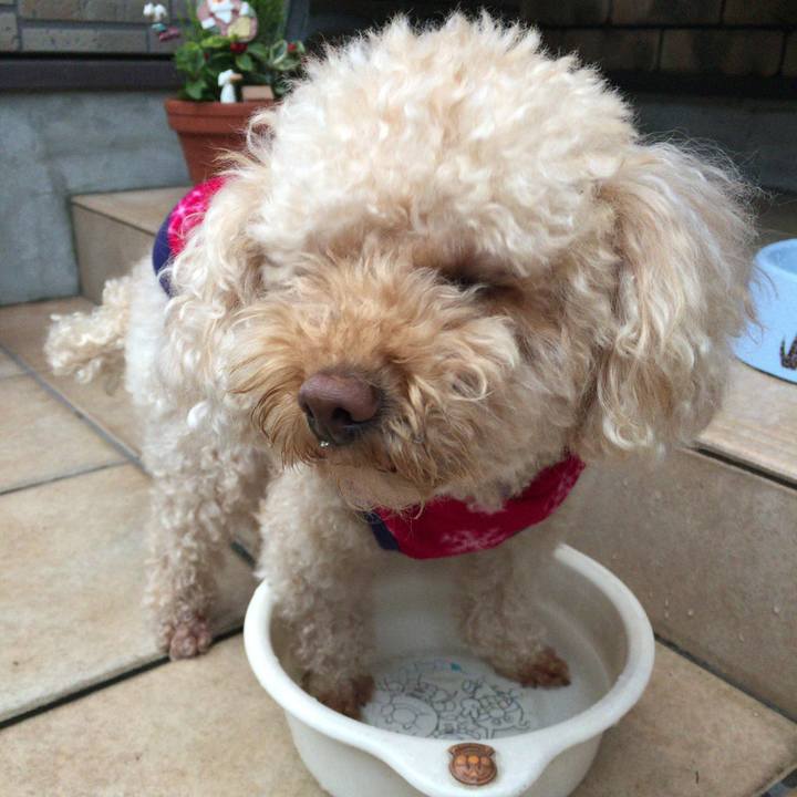 2b8e85a8 8d0b 47c9 b6d0 c4d66bc02e49