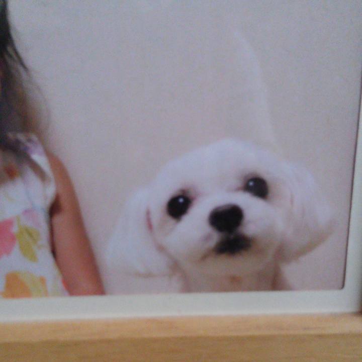 2b9058d9 38a5 45f9 8518 8bb3e1a994eb