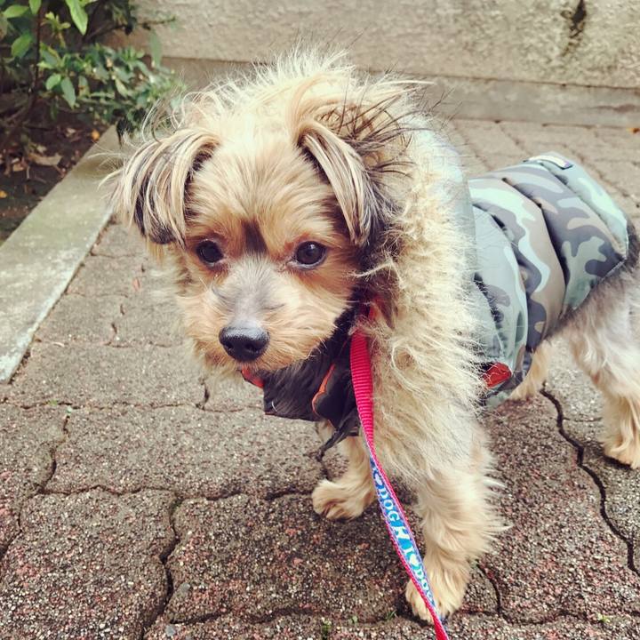 2b90cfd7 8858 43ec 9b99 492b70b80374