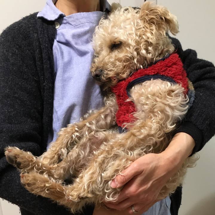 2b90d4de 6d30 4d4a b031 5dc42858c775