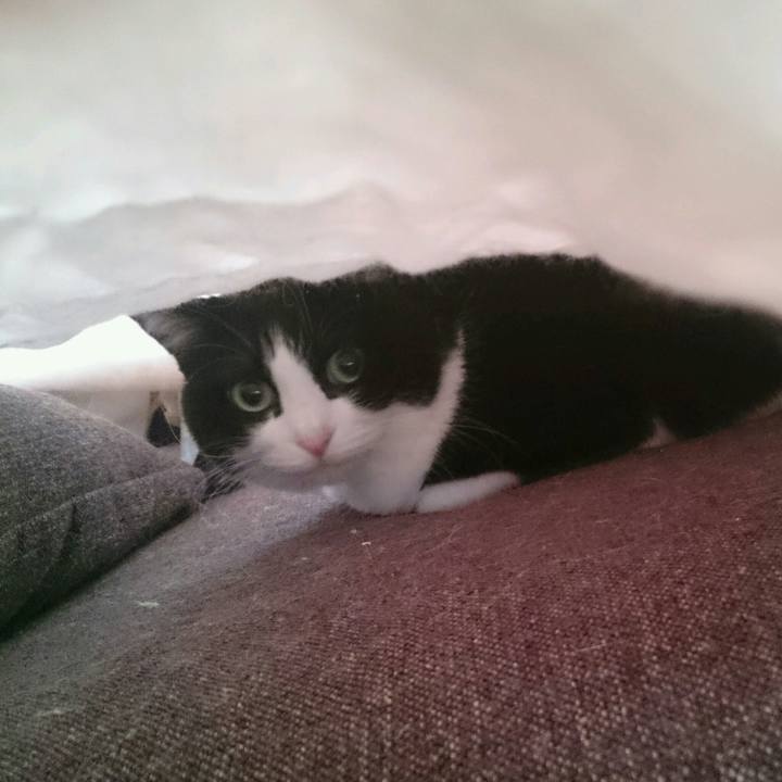 2b9110f0 b384 405e bc35 e96b51e63e21