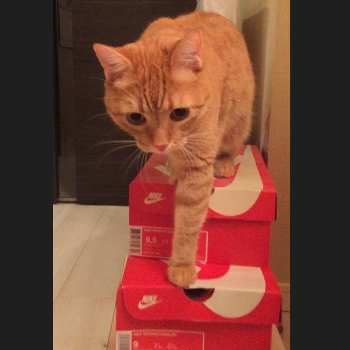 2b918a4c 0988 4935 aff9 6c673ed66f5e