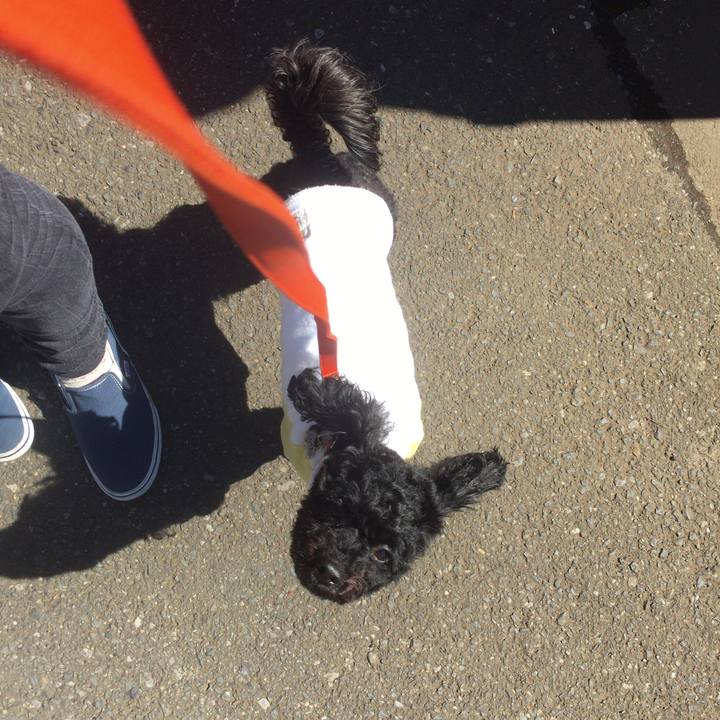 2b920711 187c 456c 976a 9ab1fc72fc67