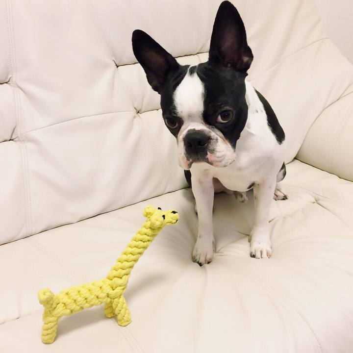 2b921121 c615 40fc 8968 1ad2d9e63b16