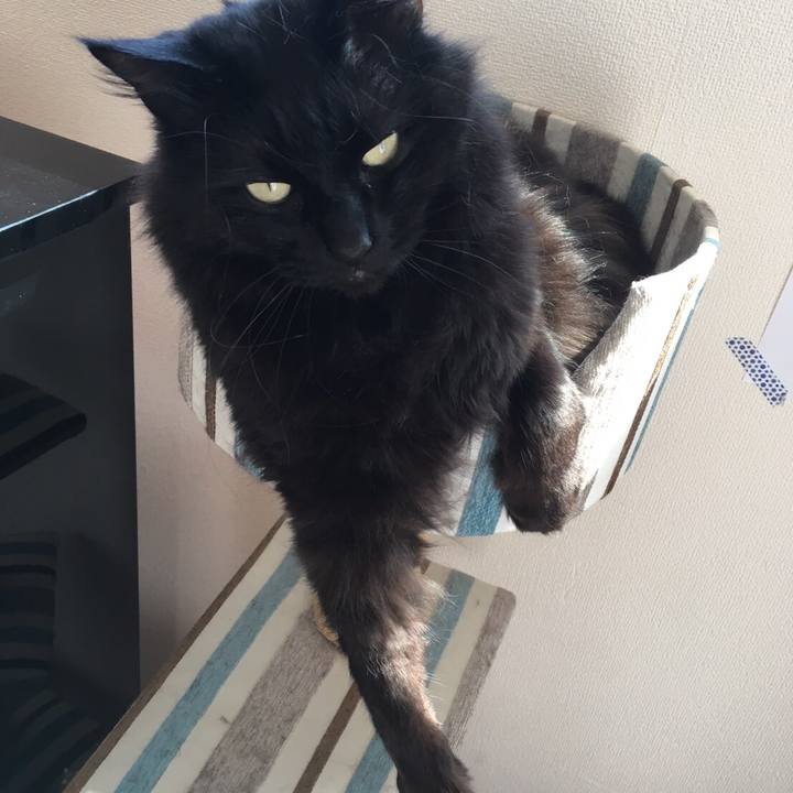 2b922046 f7ca 424c 967a 76577cb490b8