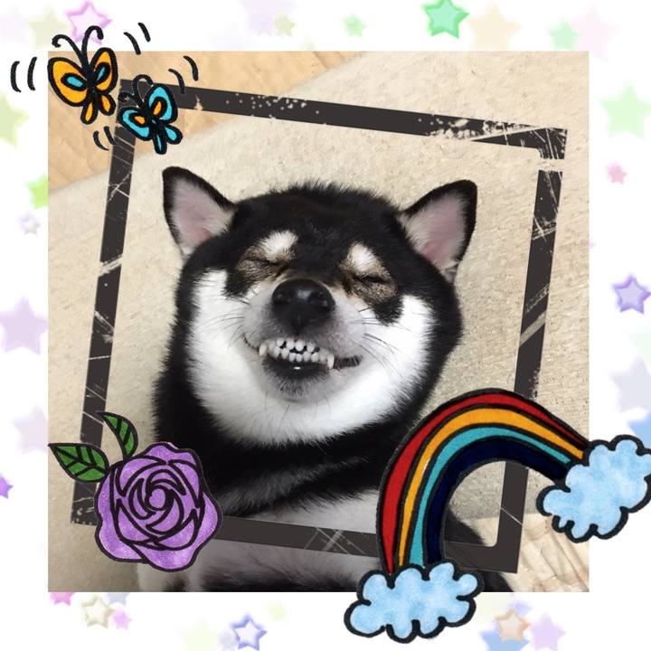 2b9224d4 c999 48b5 bc2b c078bd09d03f