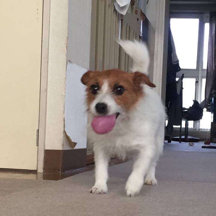 2b92f651 6414 463c 86ed 11fb9c14108d