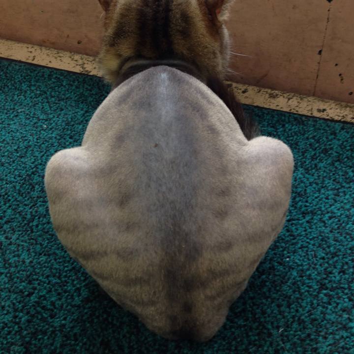 2b9357f7 510c 4a16 ab40 bb304f421611