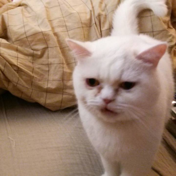 2b939415 0006 42a0 a33d ba7b753f17b5