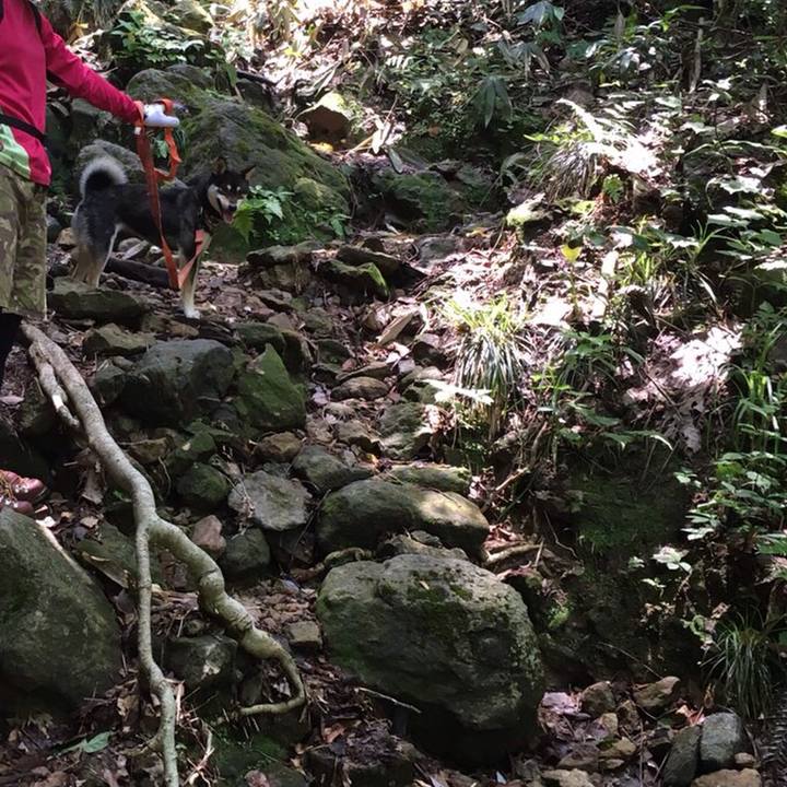 2b947aa7 0b24 494b aa32 6c6e31e98c73