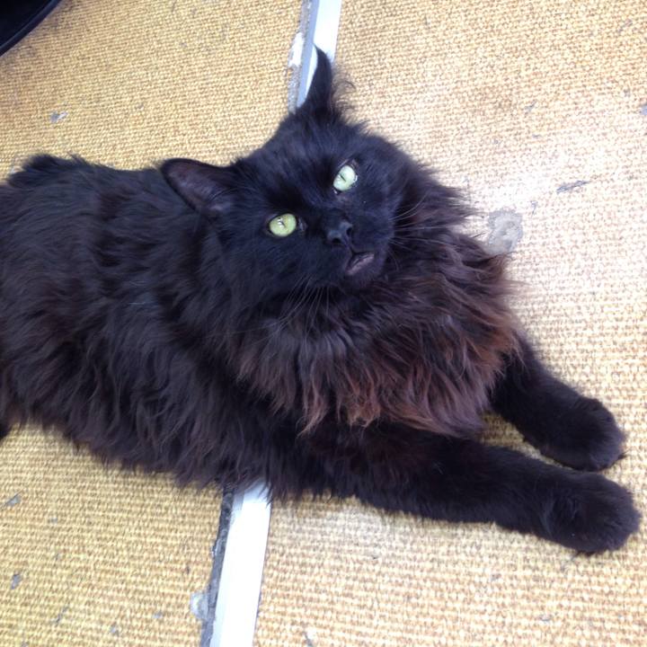 2b94ddb3 e7b2 4651 b562 45e428aaba44