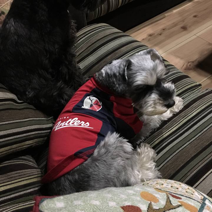 2b95e26b 6008 4124 955d 694a28f820ae